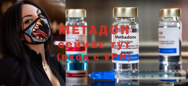 индика Алексин