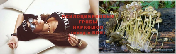 индика Алексин