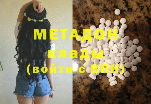 индика Алексин