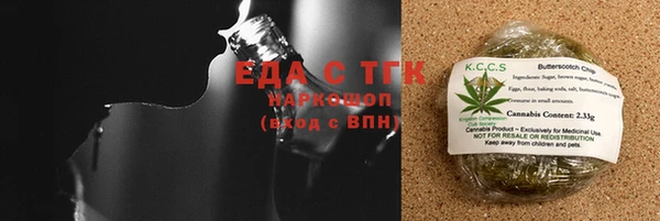 индика Алексин