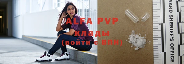 индика Алексин