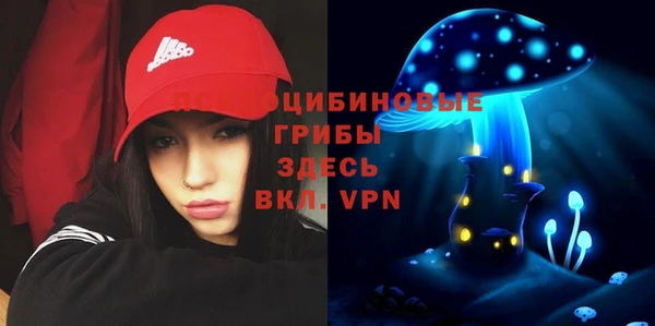 прущие крисы Алзамай
