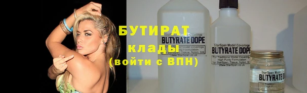 индика Алексин