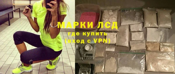 индика Алексин