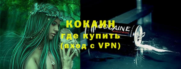 индика Алексин